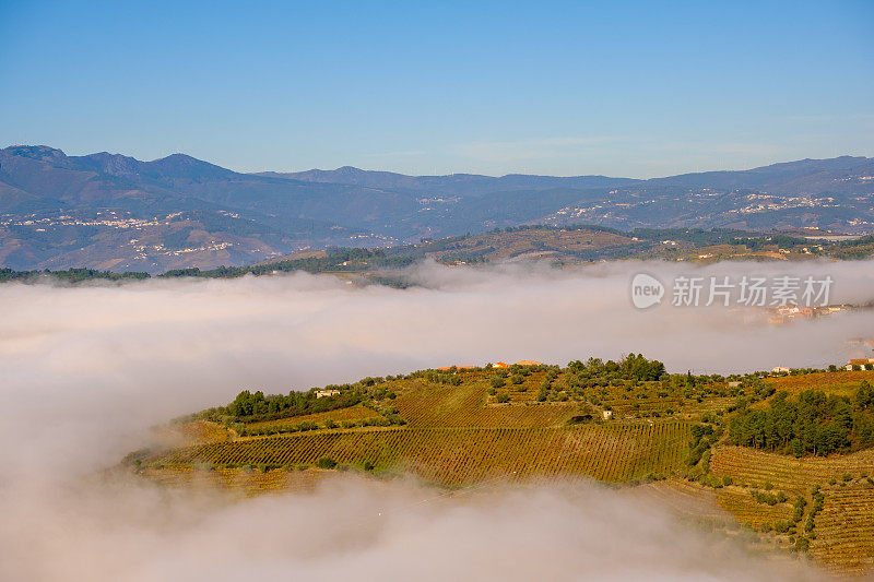 São Leonardo da Galafura在杜洛山谷的视角，雾使你看不到杜洛河